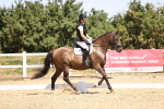 SBM_010602