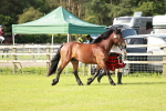 SBM_00683