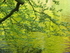 P42303680659