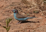 P1092362