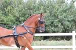 SBM_000374