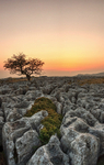 Dales Sunset