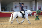 SBM_20537