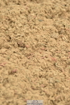 230720A-150642-03435