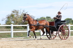 SBM_000919