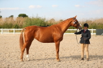 SBM_08606