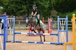 WJ5_3821