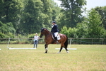 WJ6_7774
