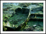 Bosham 11