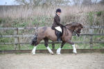 SBM_006064