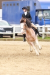 SBM_004191