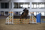 SBM_002732