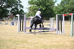 WJ6_5633