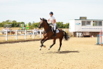 SBM_003039