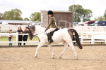 SBM_04292
