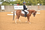 SBM_03647