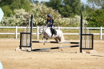 SBM_007286