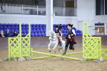 SBM_000056