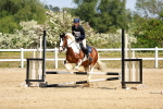 SBM_007802