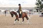 SBM_14657