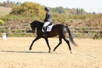 SBM_010563