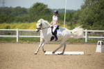 SBM_008993