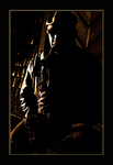 John 5