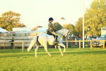 SBM_56617