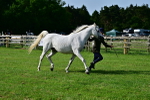 SBM_01047