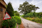 Great Tew 11