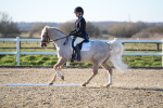 SBM_004798