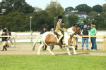 SBM_67660