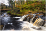 The Rainbow Bridge, Glenariff Forest (IMG0998)