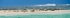 Sea Lions & Pied Cormorants II _ W. Australia