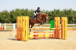 SBM_000982