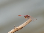 P1045891