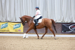 SBM_000995