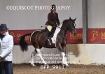 BPP_9911