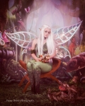 elf-65