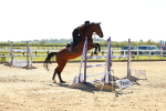 SBM_001899