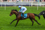 Race 1 1.40pm Ire Incentive, It Pays To Buy Irish EBF Novice Stakes portfolio