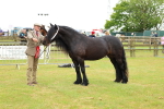 SBM_00568