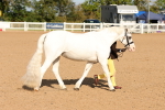 SBM_08654