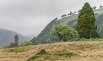 Glendalough portfolio