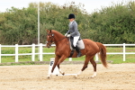 SBM_001344