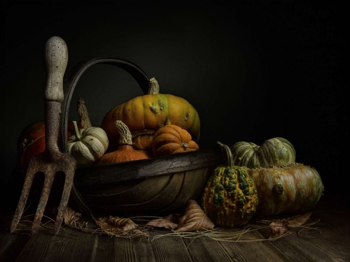 The Vintage Hand-fork. Light-painted still-life, featuring an old garden trug and hand-fork with a selection of decor…