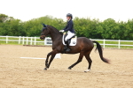 SBM_006386