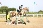 SBM_003629