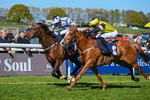 230426-Race 4-A War Eagle-4588