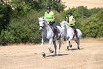 WJ6_8888